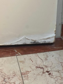 Bathroom door