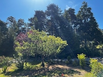 View from the porch