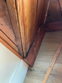 Webbing and spiders in home