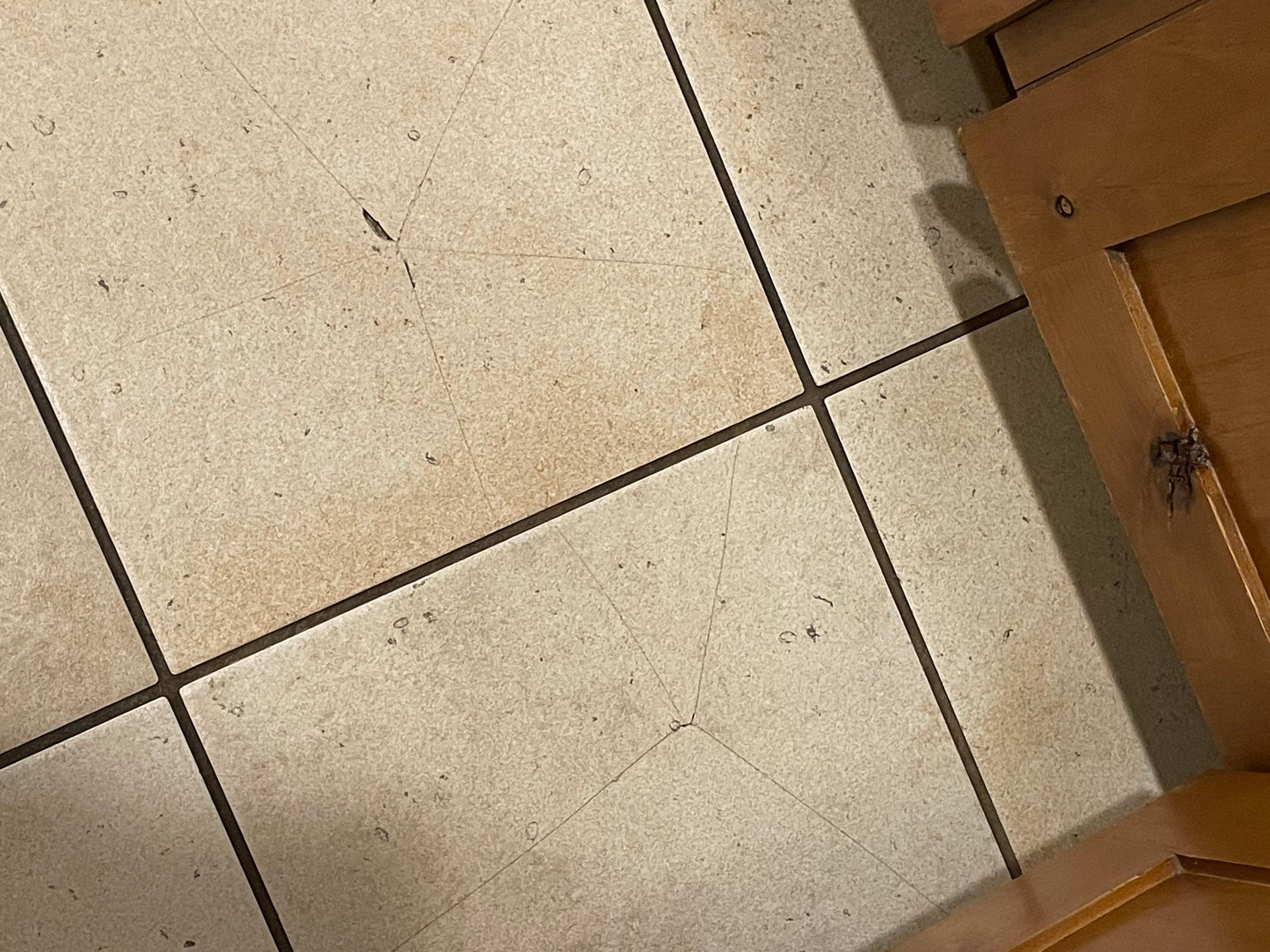 Cracked tiles in kitchen