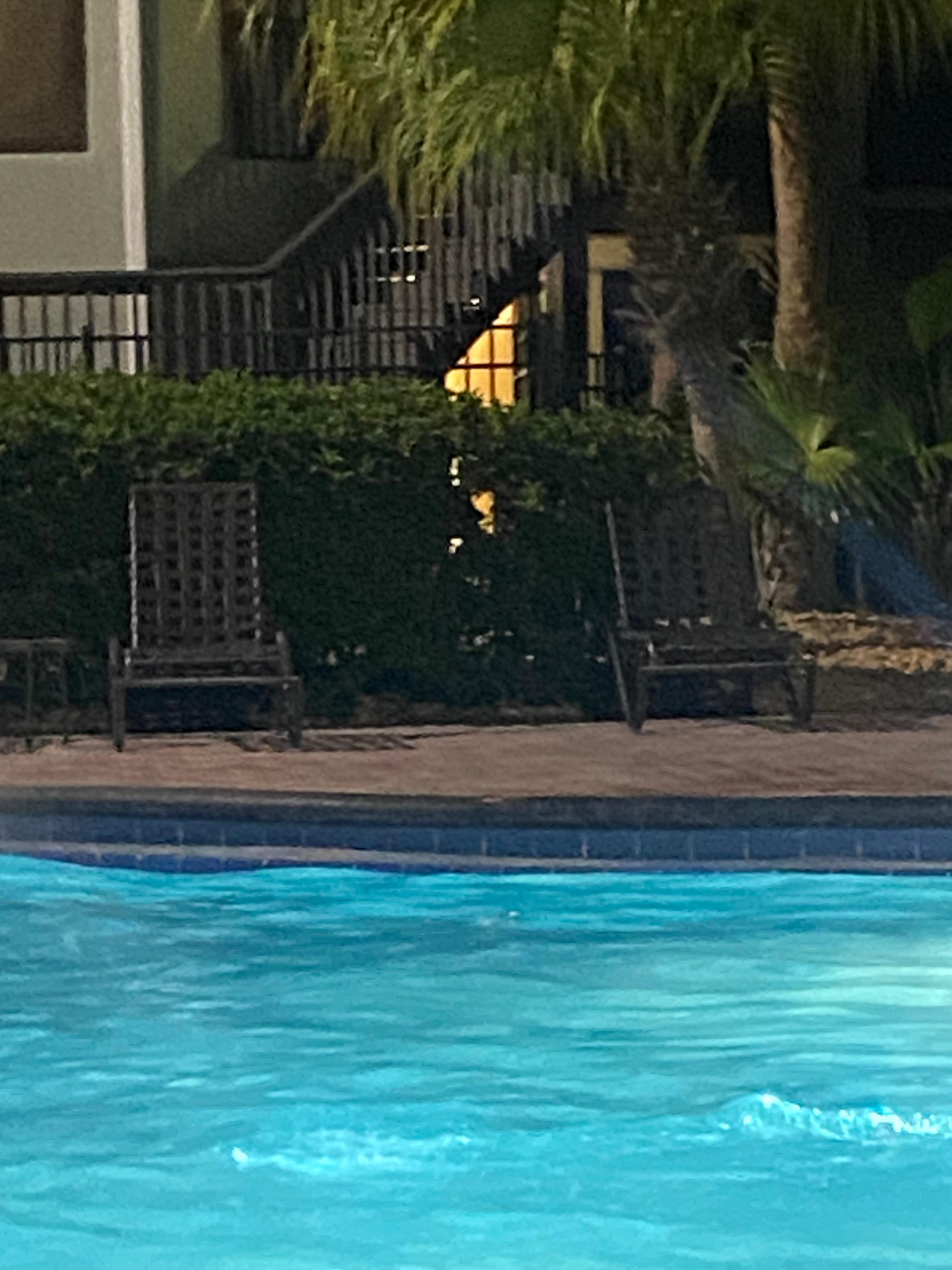 Pool was great 