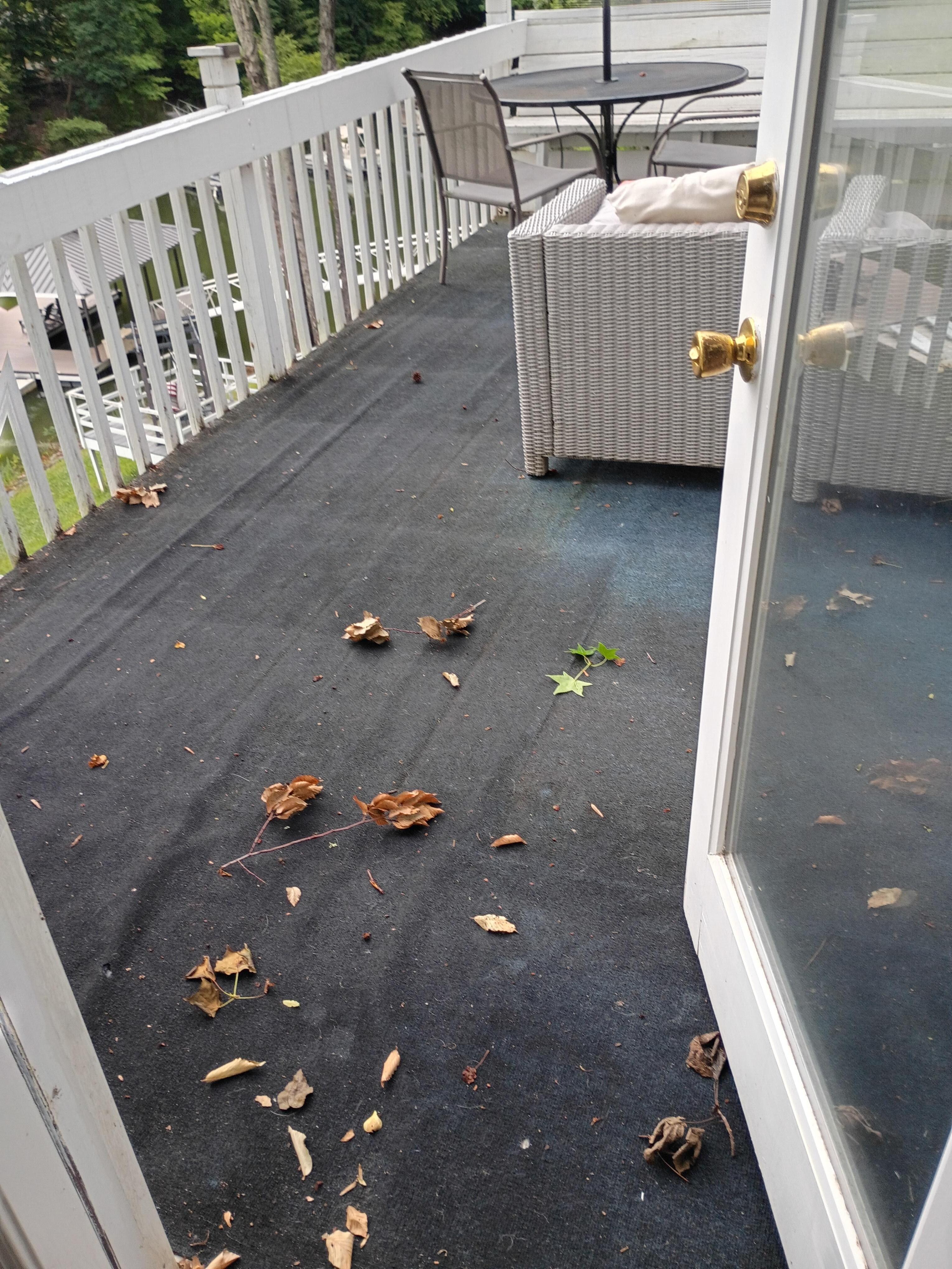 leaves and debris on deck