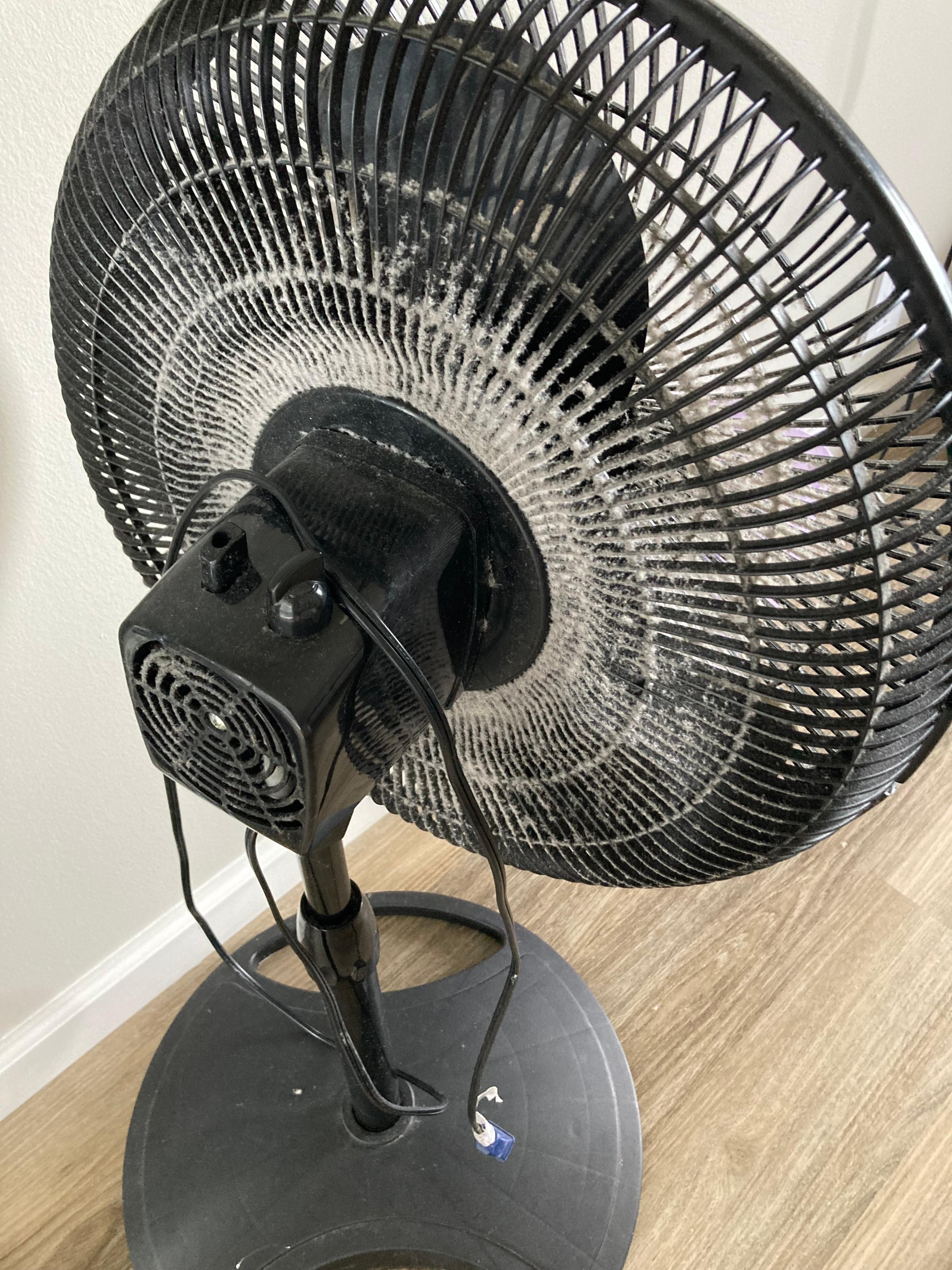 Fan left in bedroom to use full of dust! 