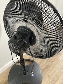 Fan left in bedroom to use full of dust!