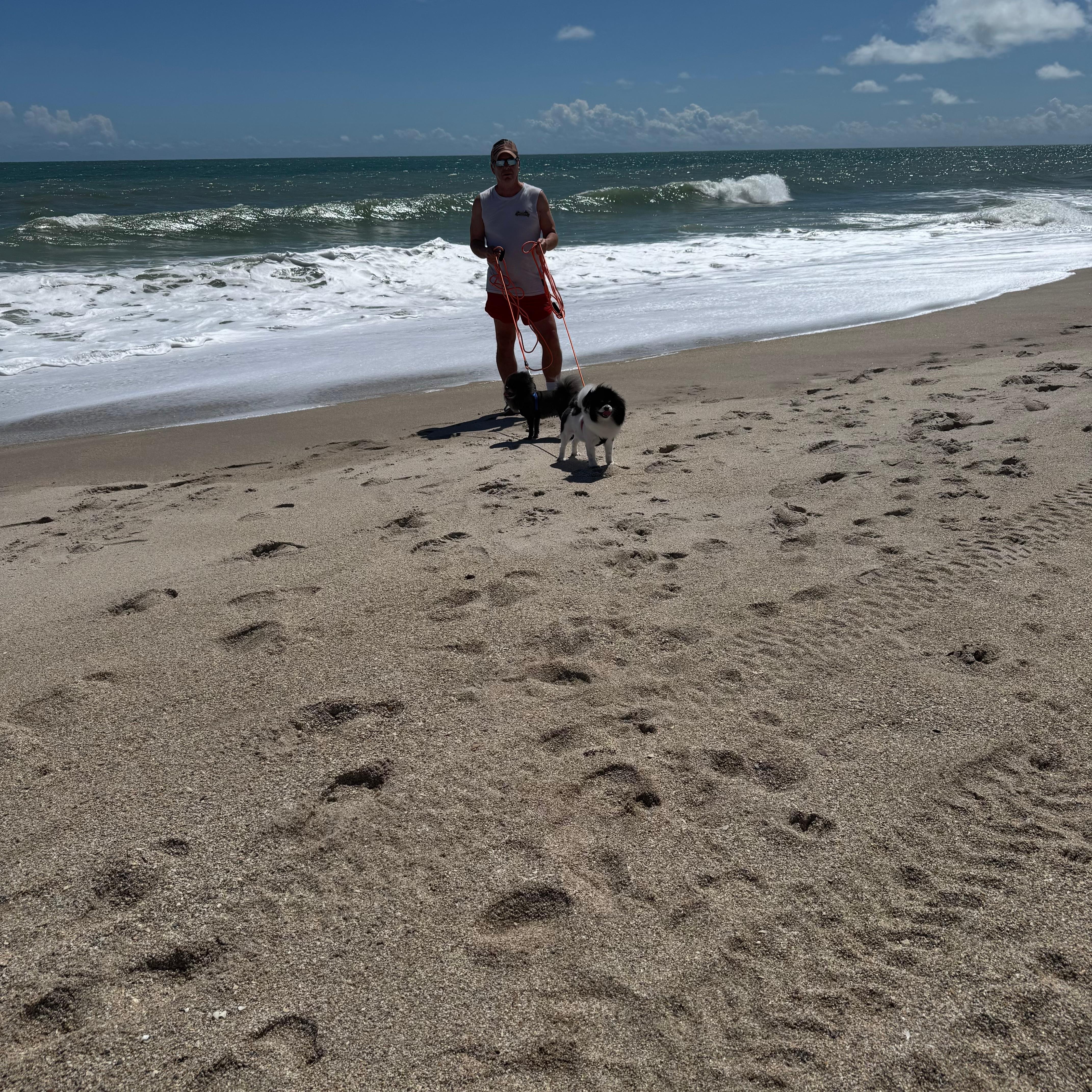 The private beach is perfect for morning walks with your best friends!!