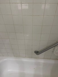 Shower walls