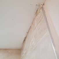 More black mold. They did NOTHING. State and city health departments have been notified