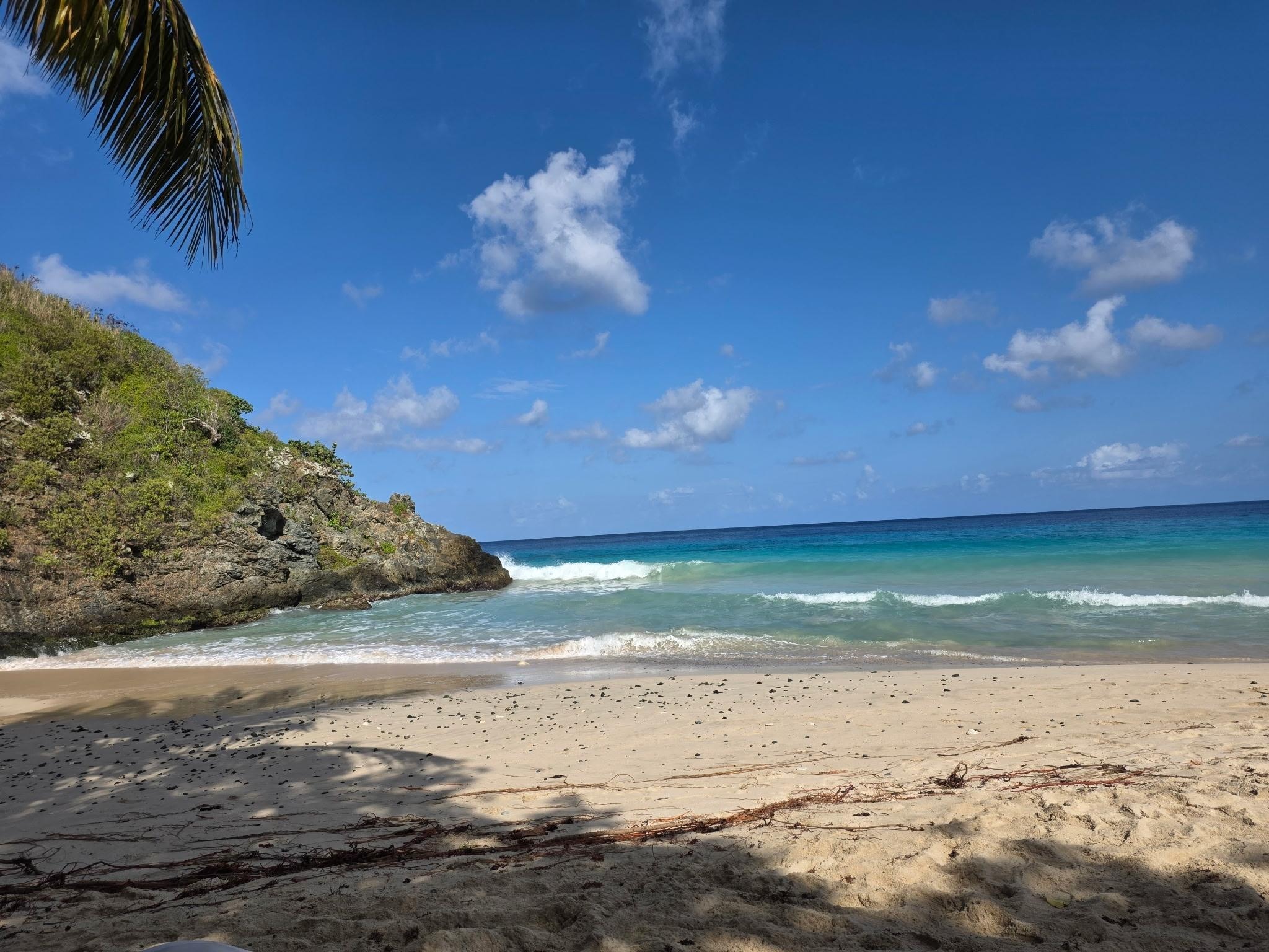 Enjoy the waves and a sun-kissed beach!