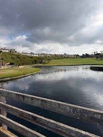 Walk uphill along path and through Monarch Golf course to our place from beach.