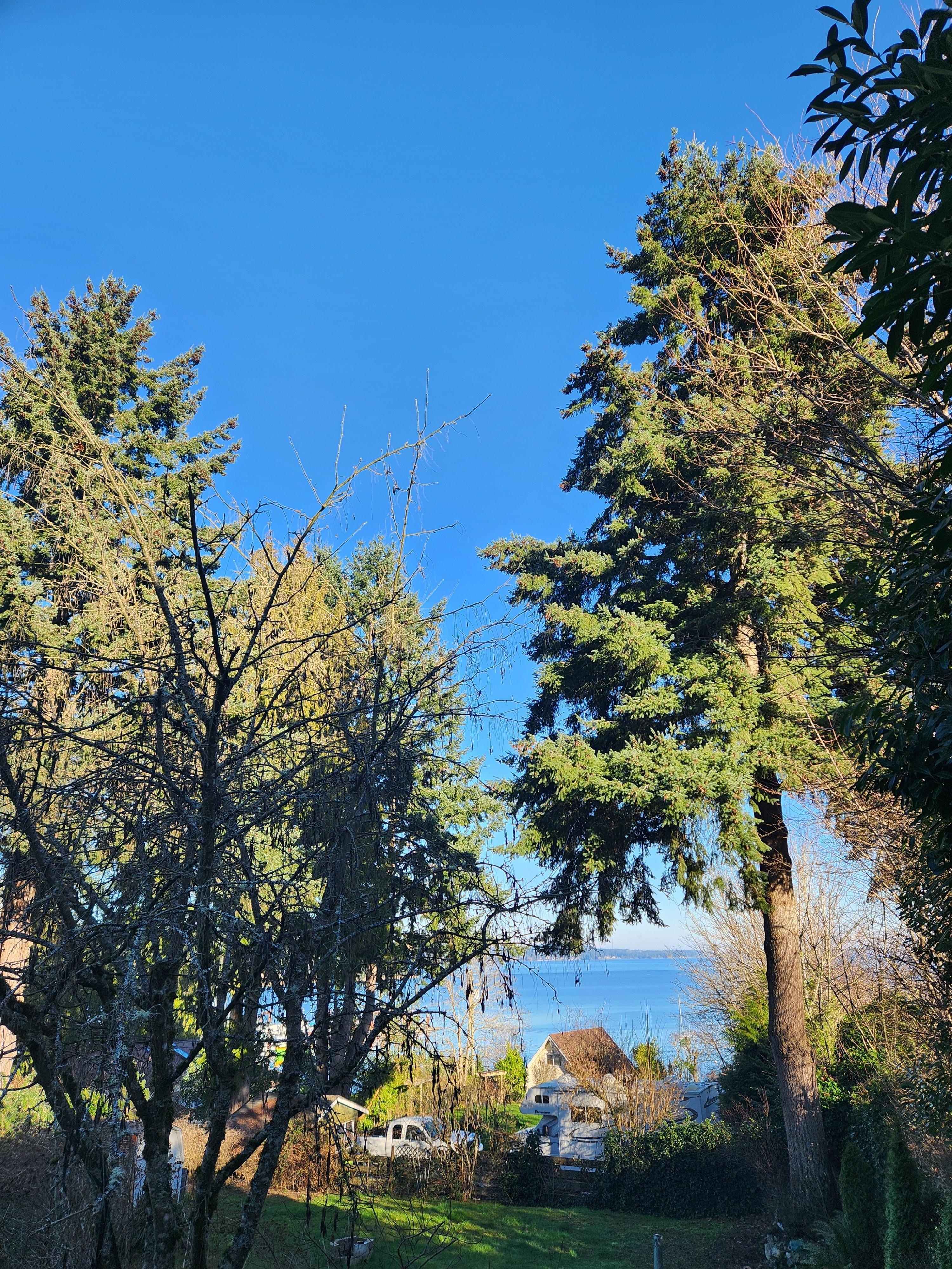 Beautiful views from the living room-even in the winter!
