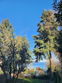 Beautiful views from the living room-even in the winter!