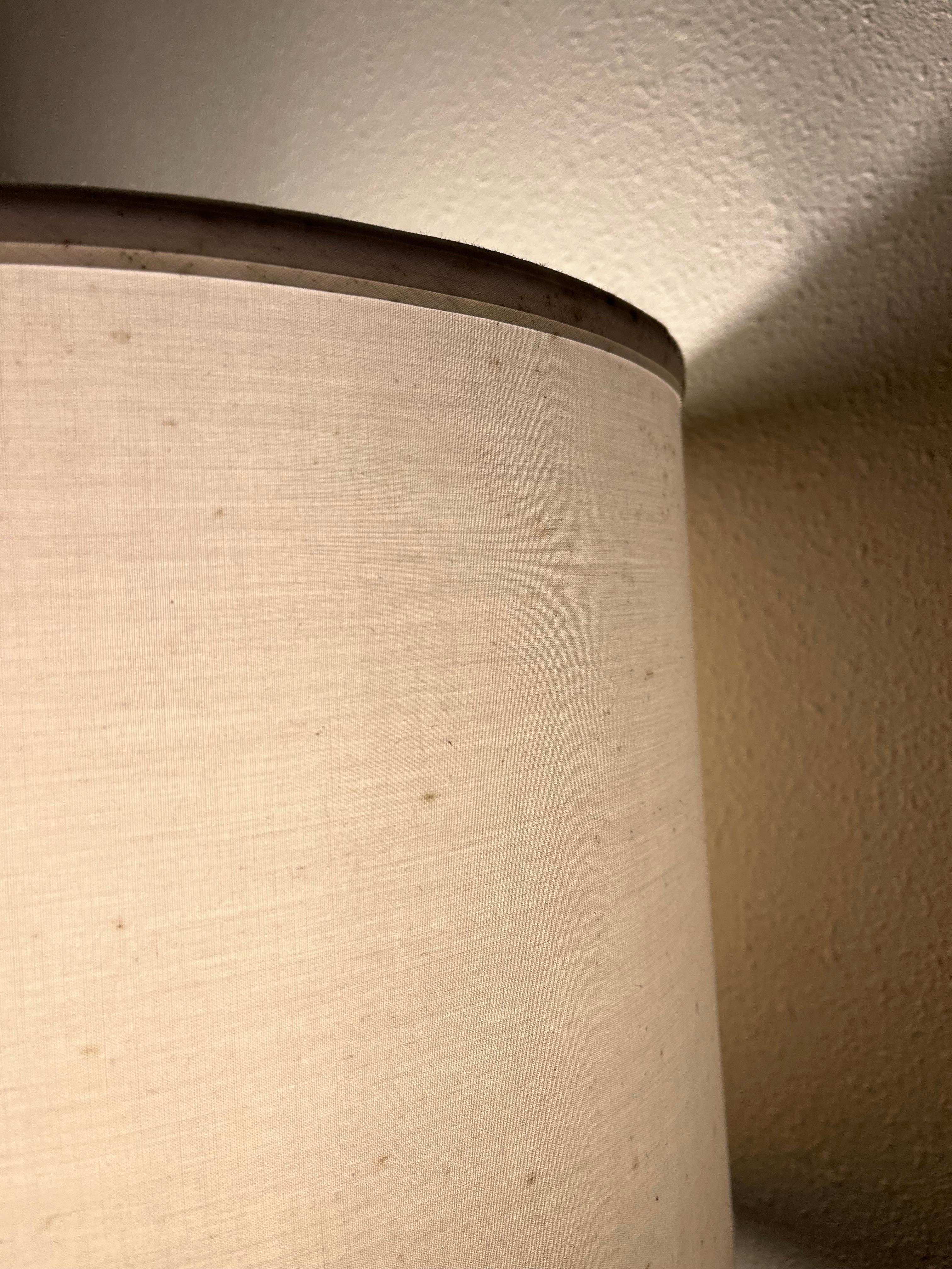 Mold on the lamp