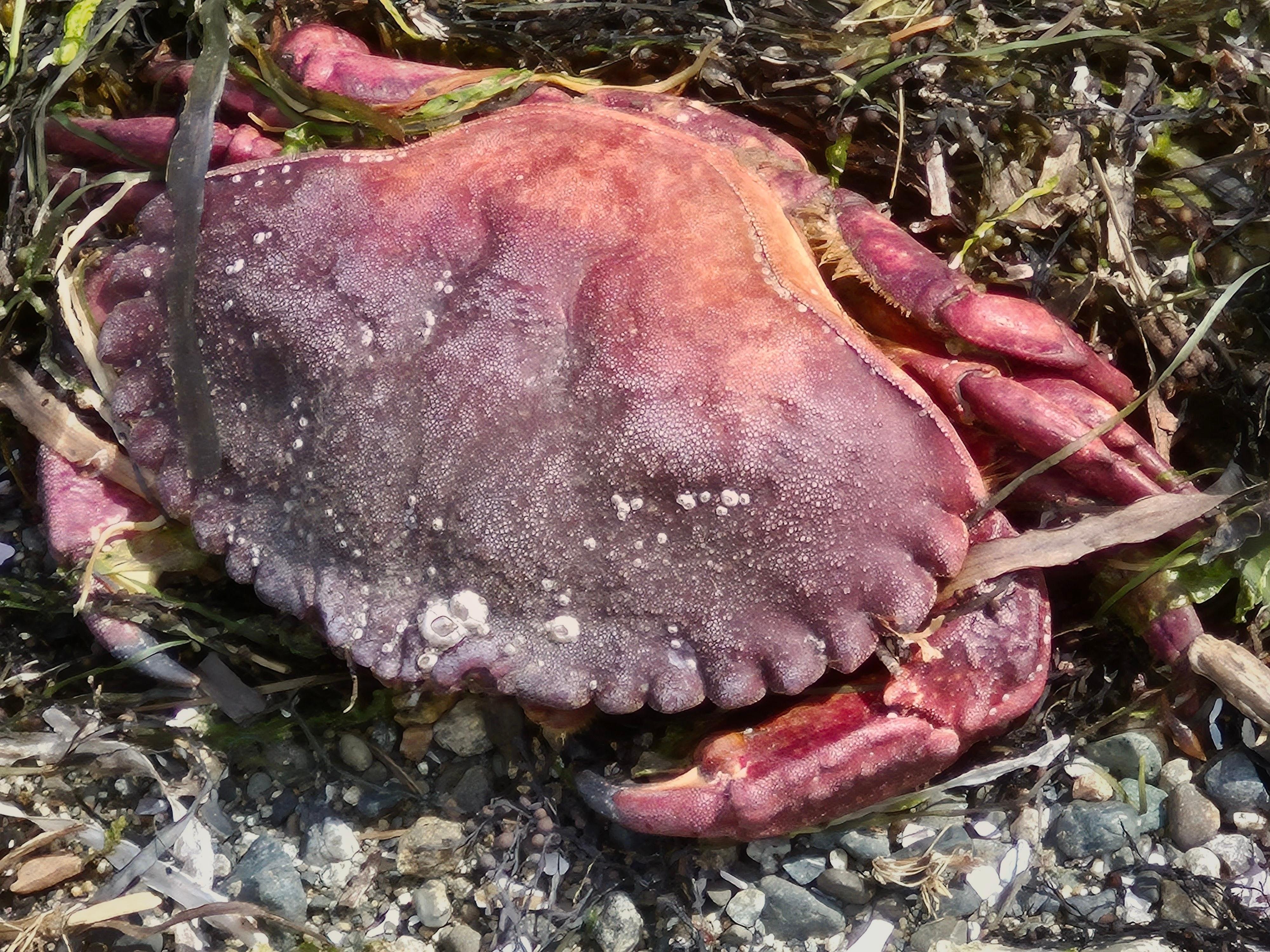 Washed up from the tide 