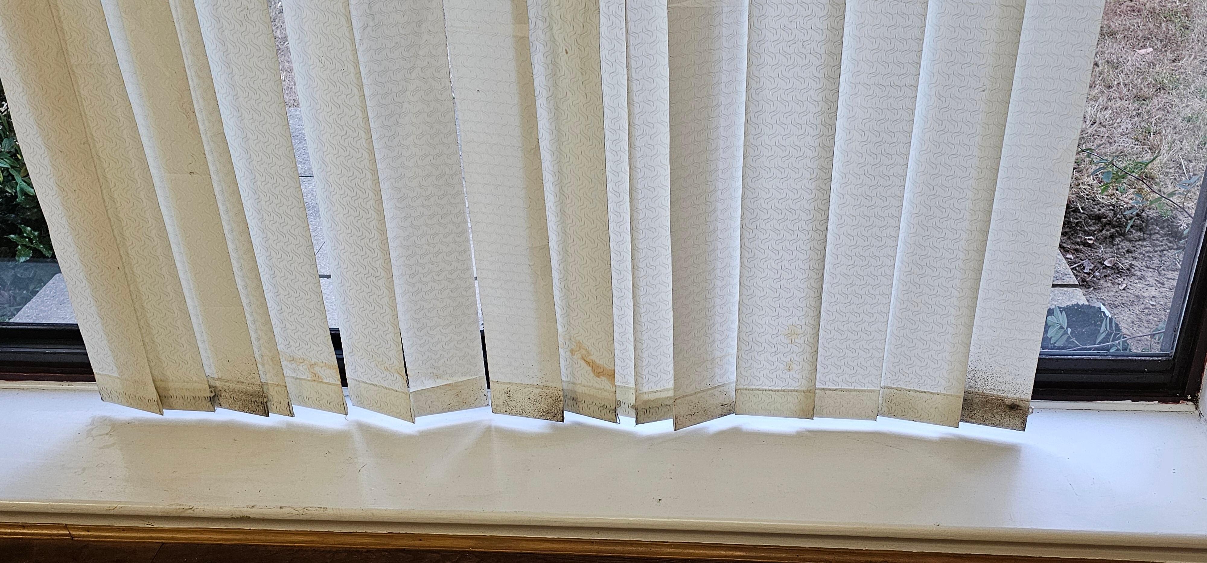 Mold all over curtains on bottom