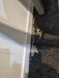 Broken carpet in #67