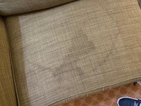 Stains on all furniture