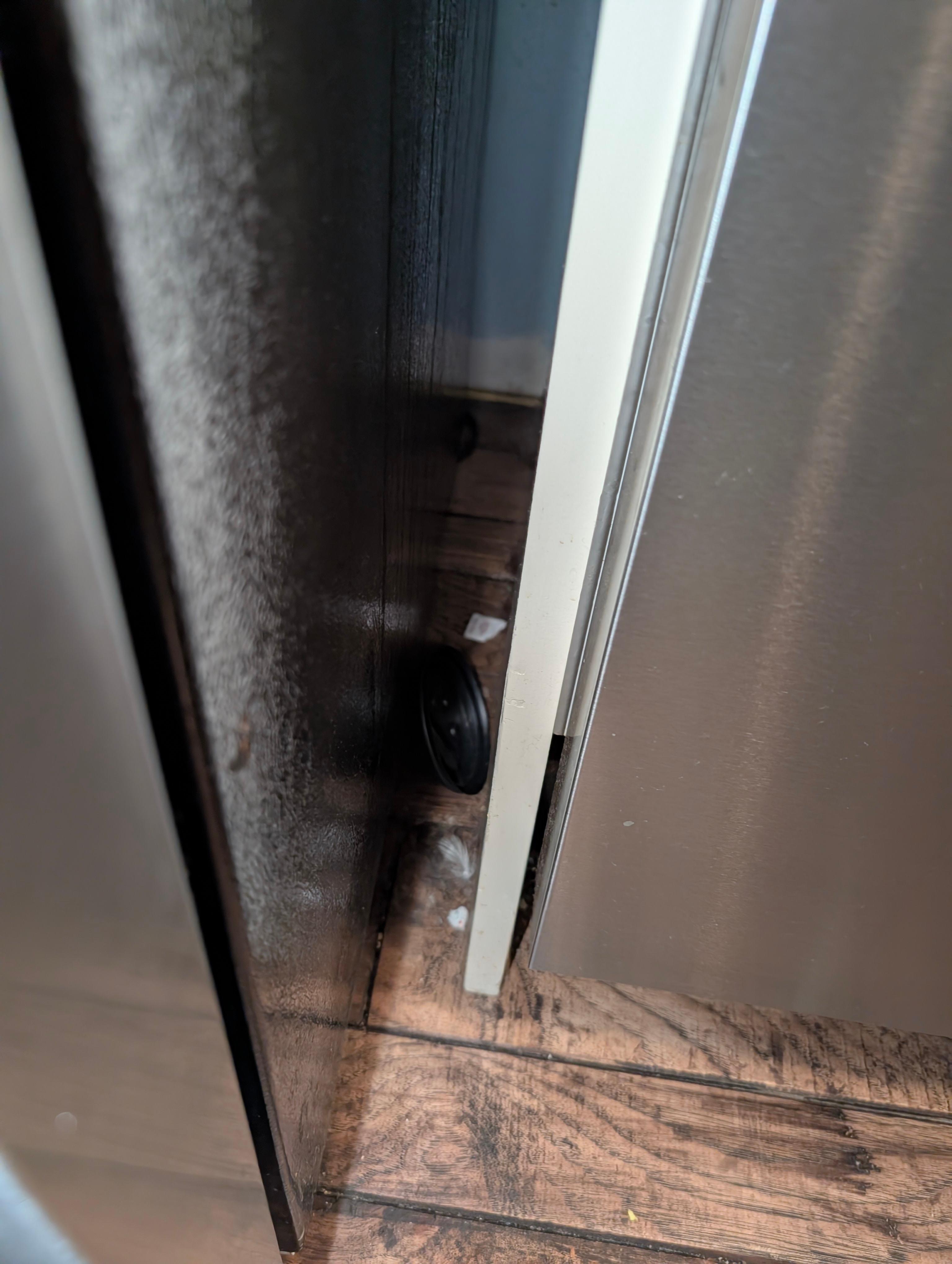 trash between fridge and dishwasher