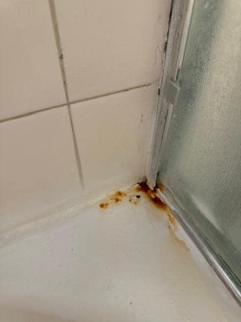 Rust in shower