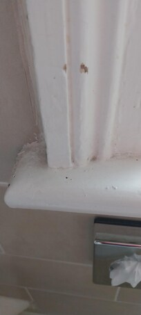 Dirty window sills