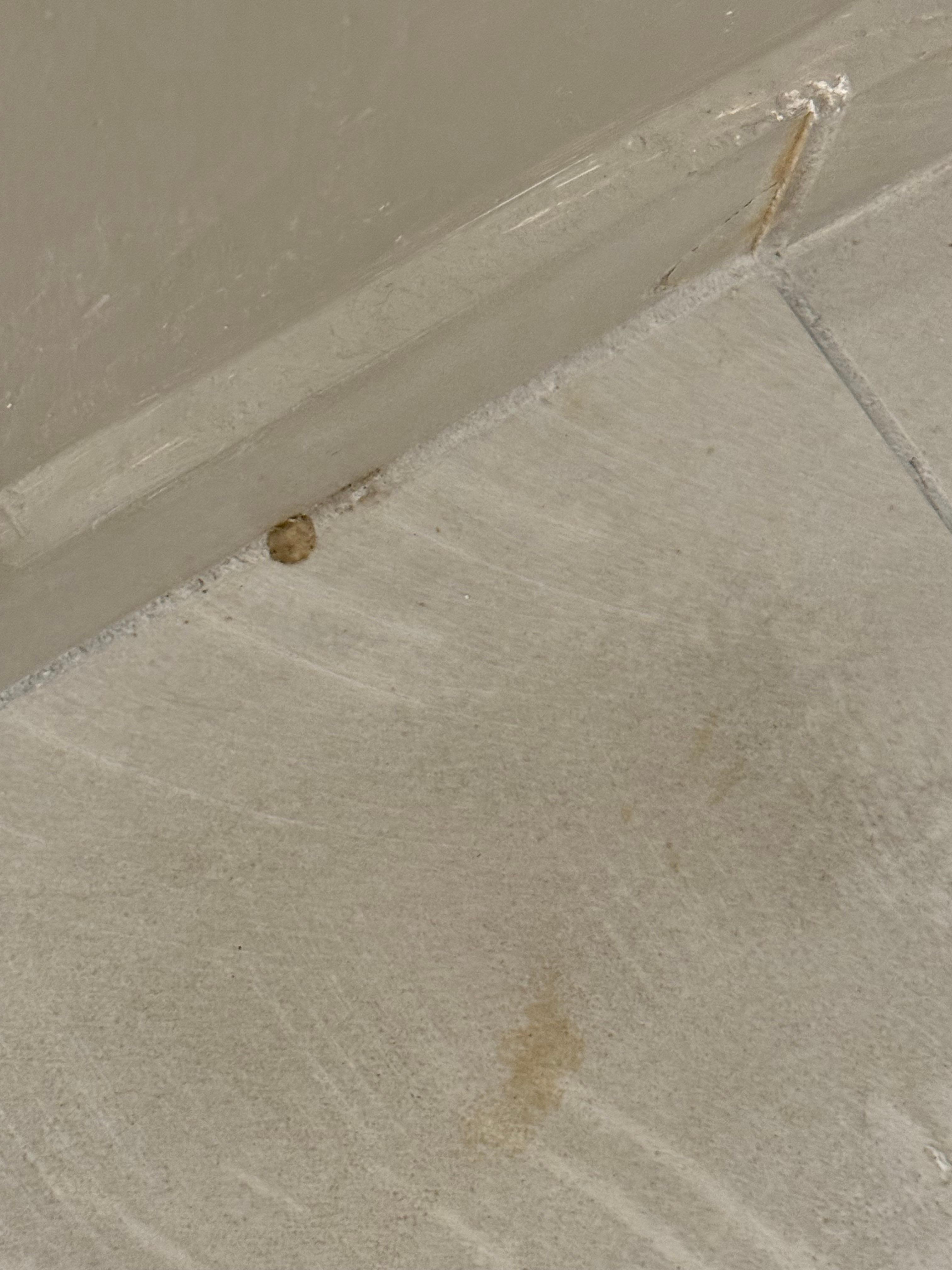Stains on bathroom floor
Over 200 a night hotel