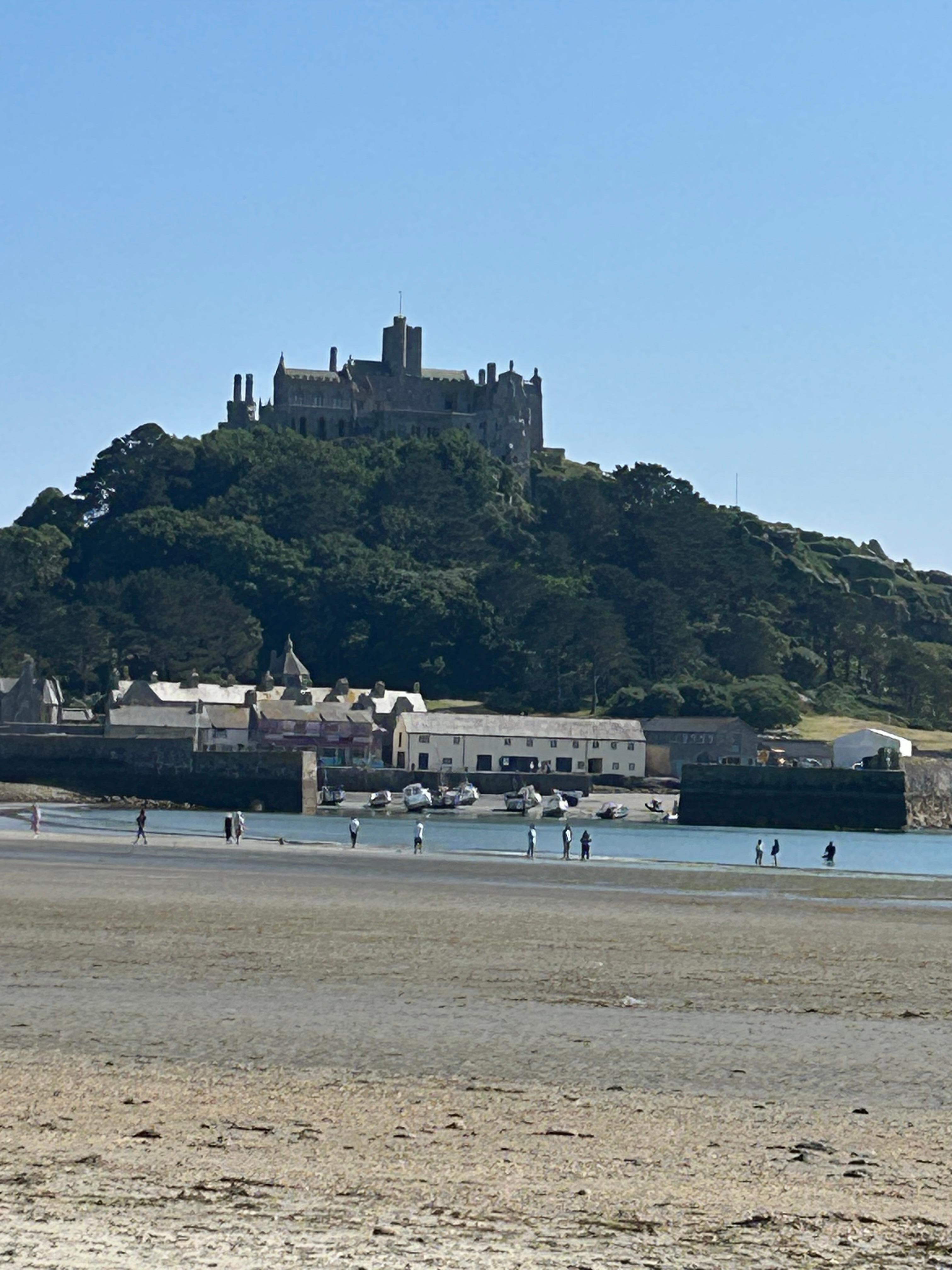  View from kitchen window. 