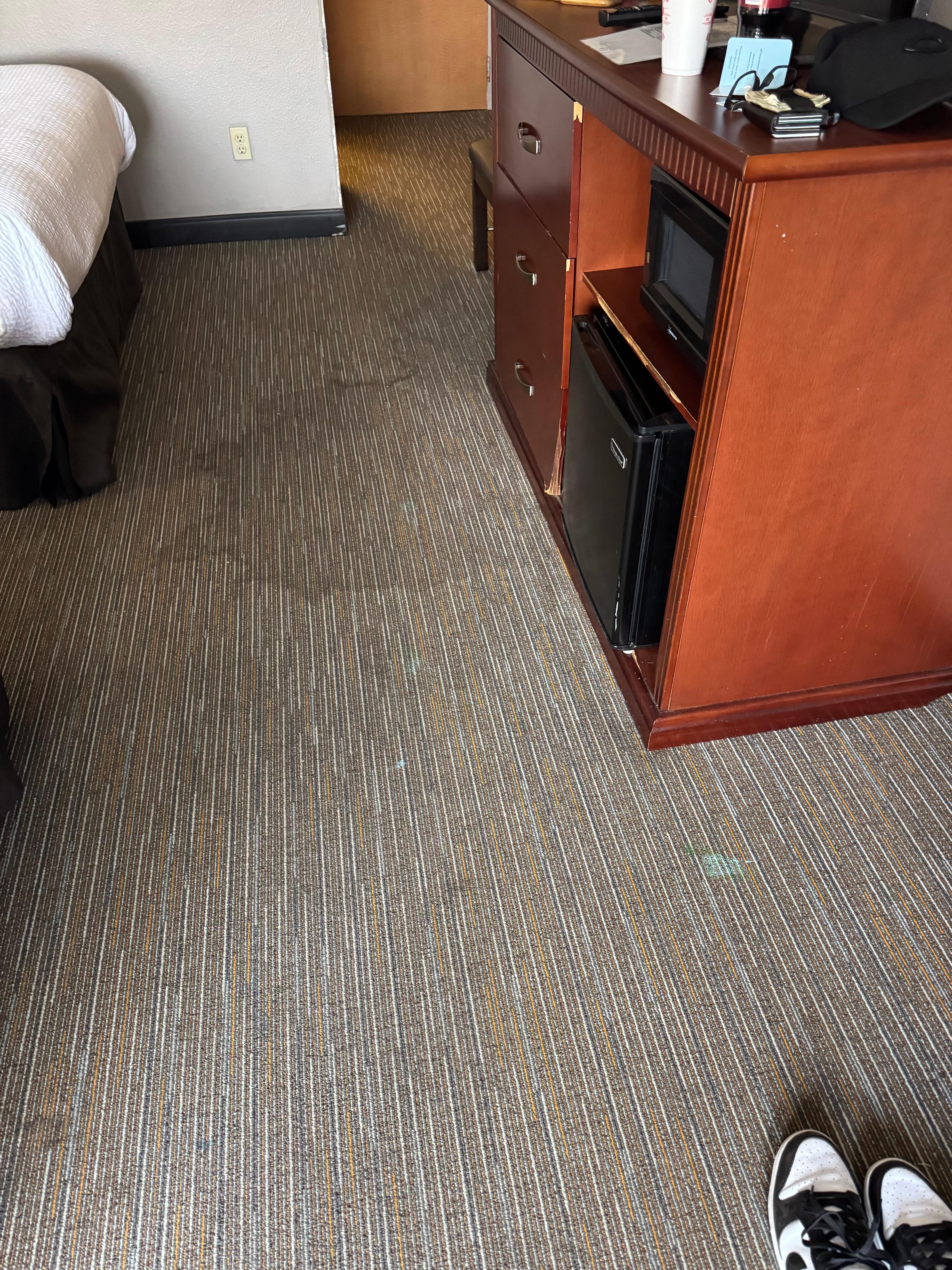 Fresh blood drops on carpet