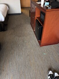 Fresh blood drops on carpet