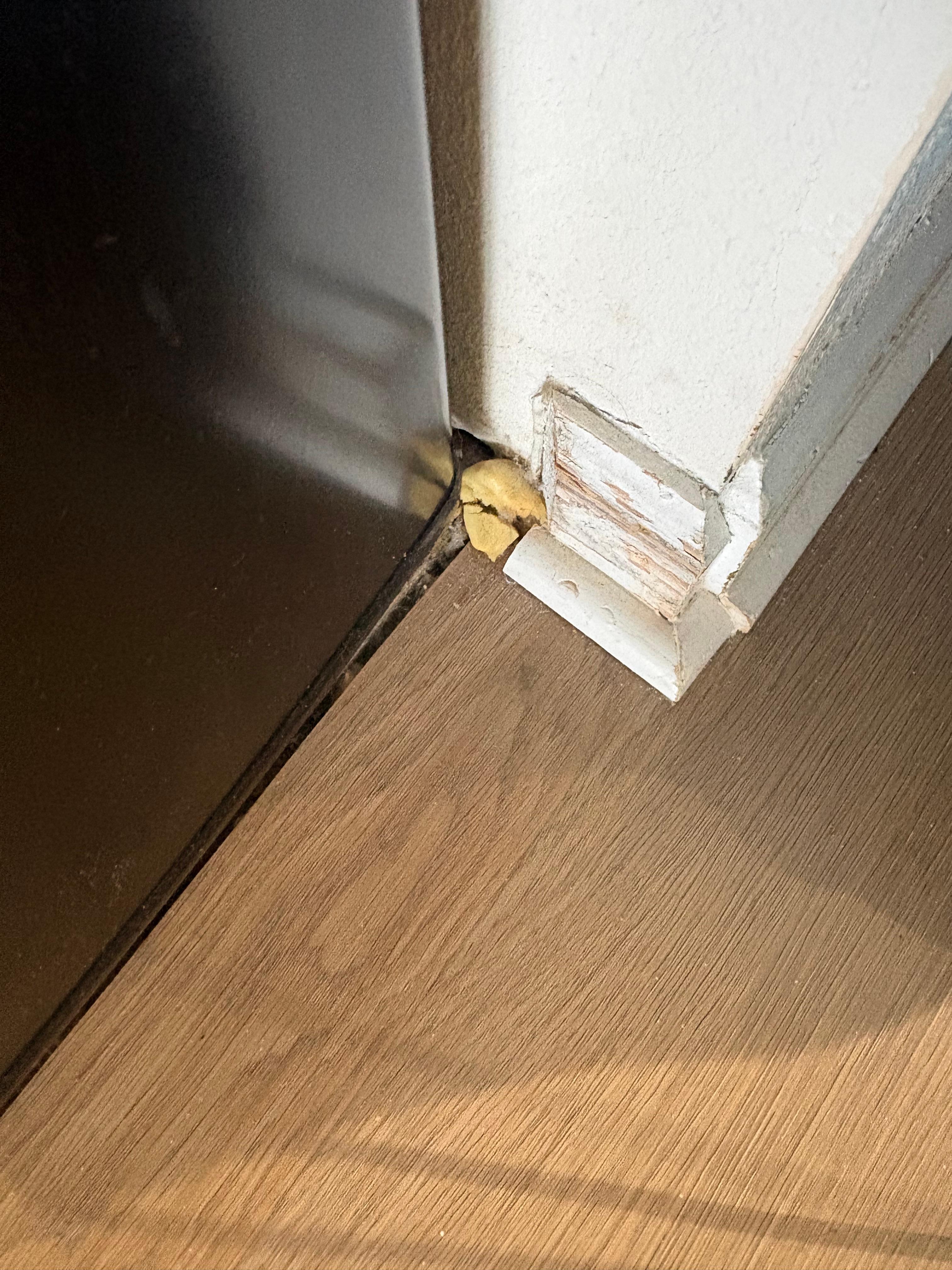 This lovely moldy tortellini noodle greeted us upon entry. 🤮
