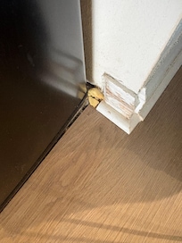 This lovely moldy tortellini noodle greeted us upon entry. 🤮