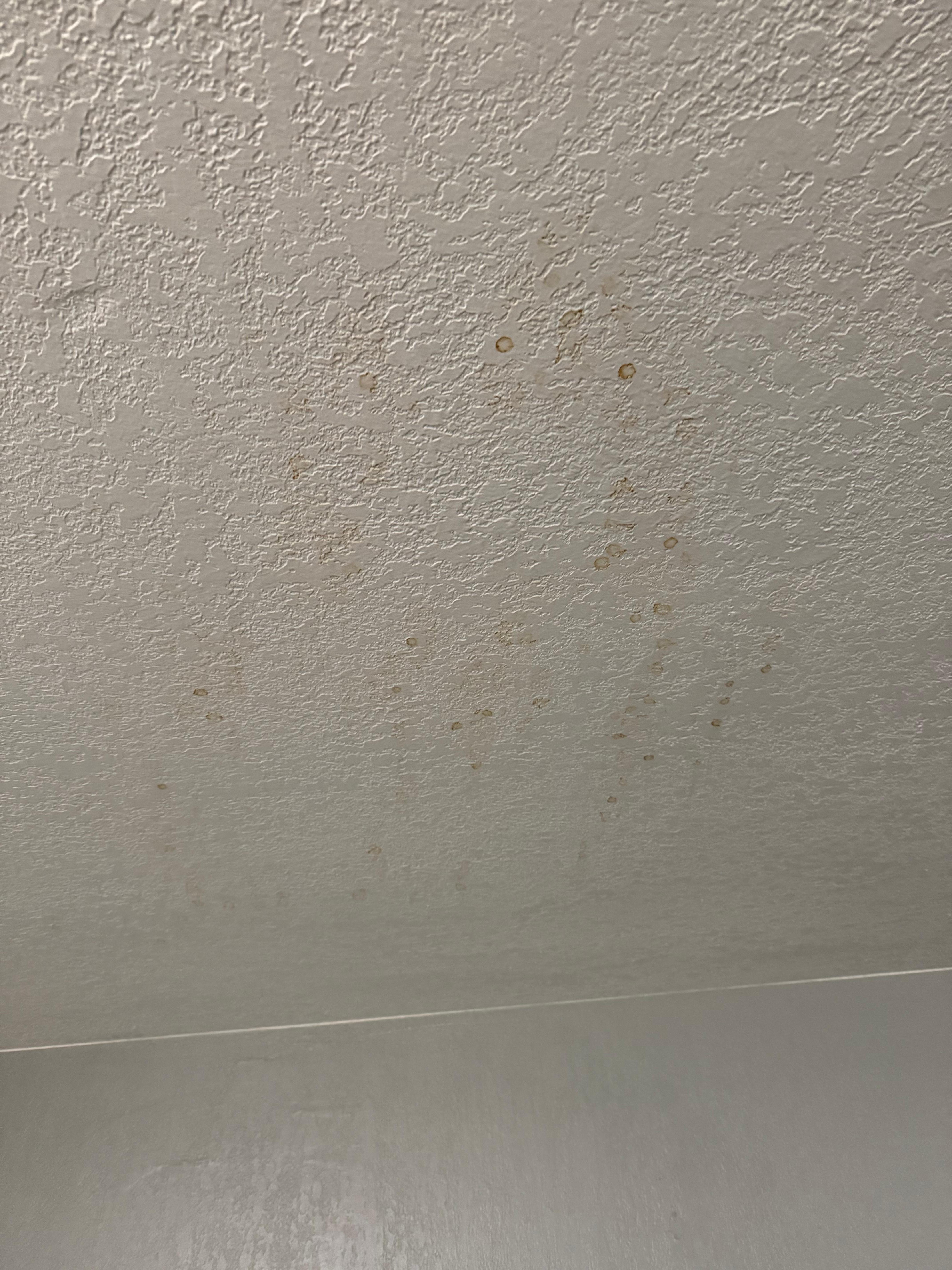 Stains on ceiling and walls 