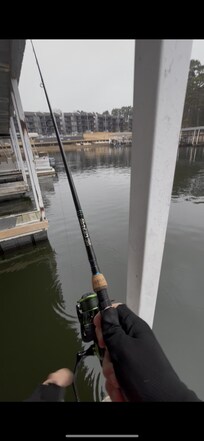 Nice dock to fish from