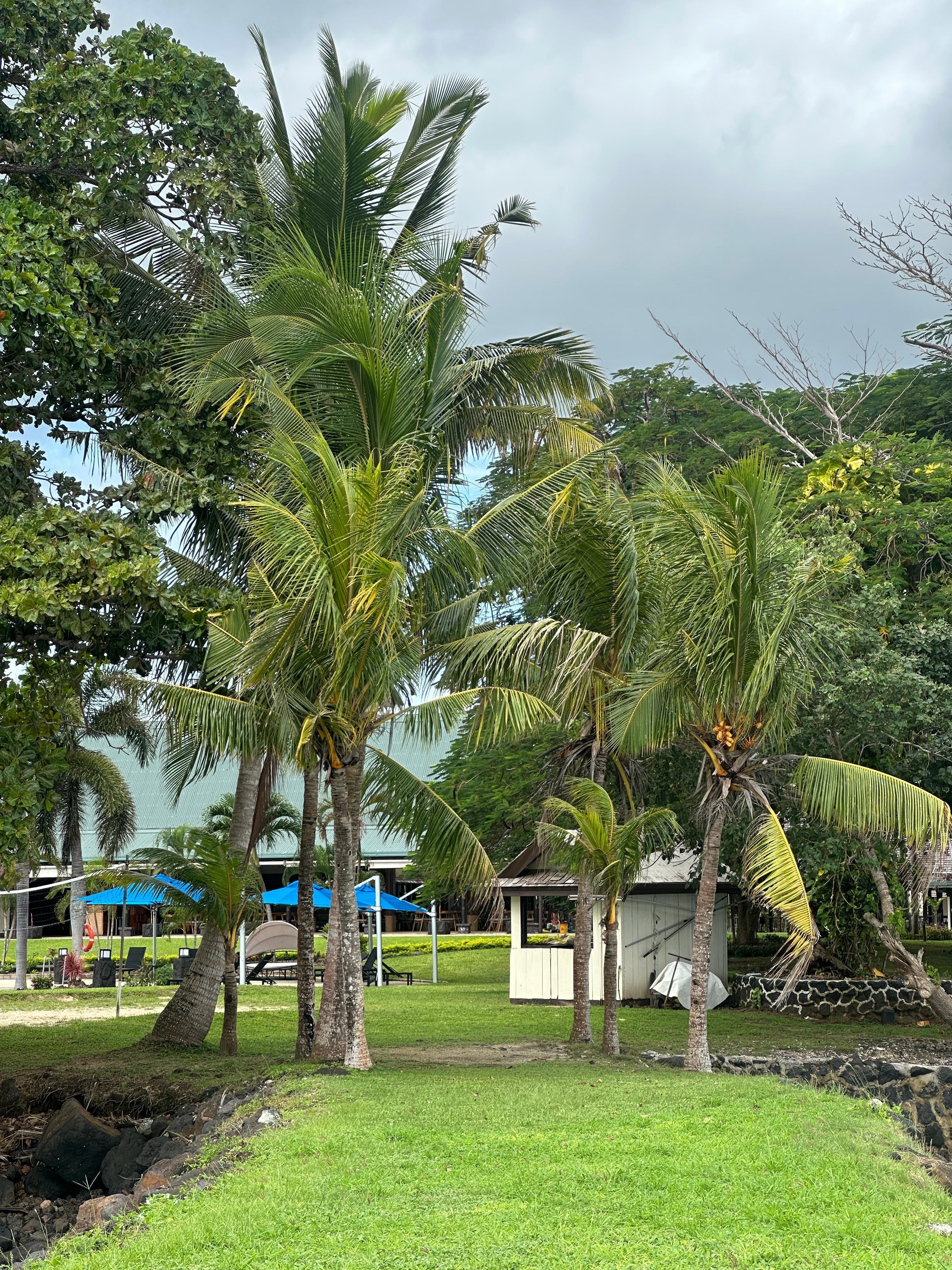 View from the ocean 