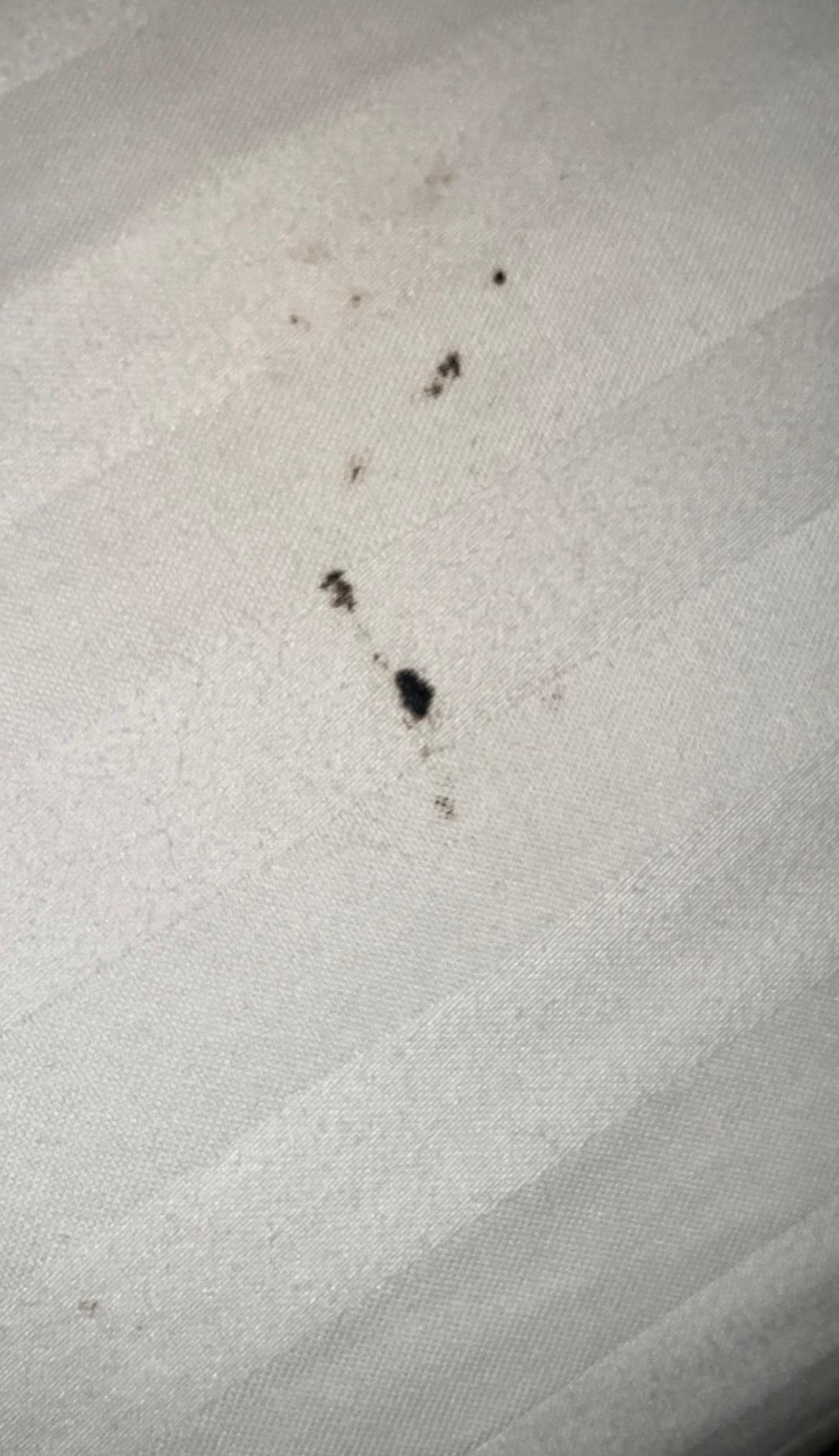 Sheets could not have been "cleaned" looks like they just remade the bed.