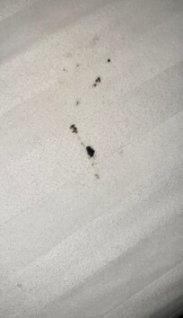 Sheets could not have been "cleaned" looks like they just remade the bed.