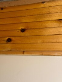 Downstairs bathroom mold and mildew