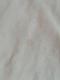 Crumbs and hair on sheets