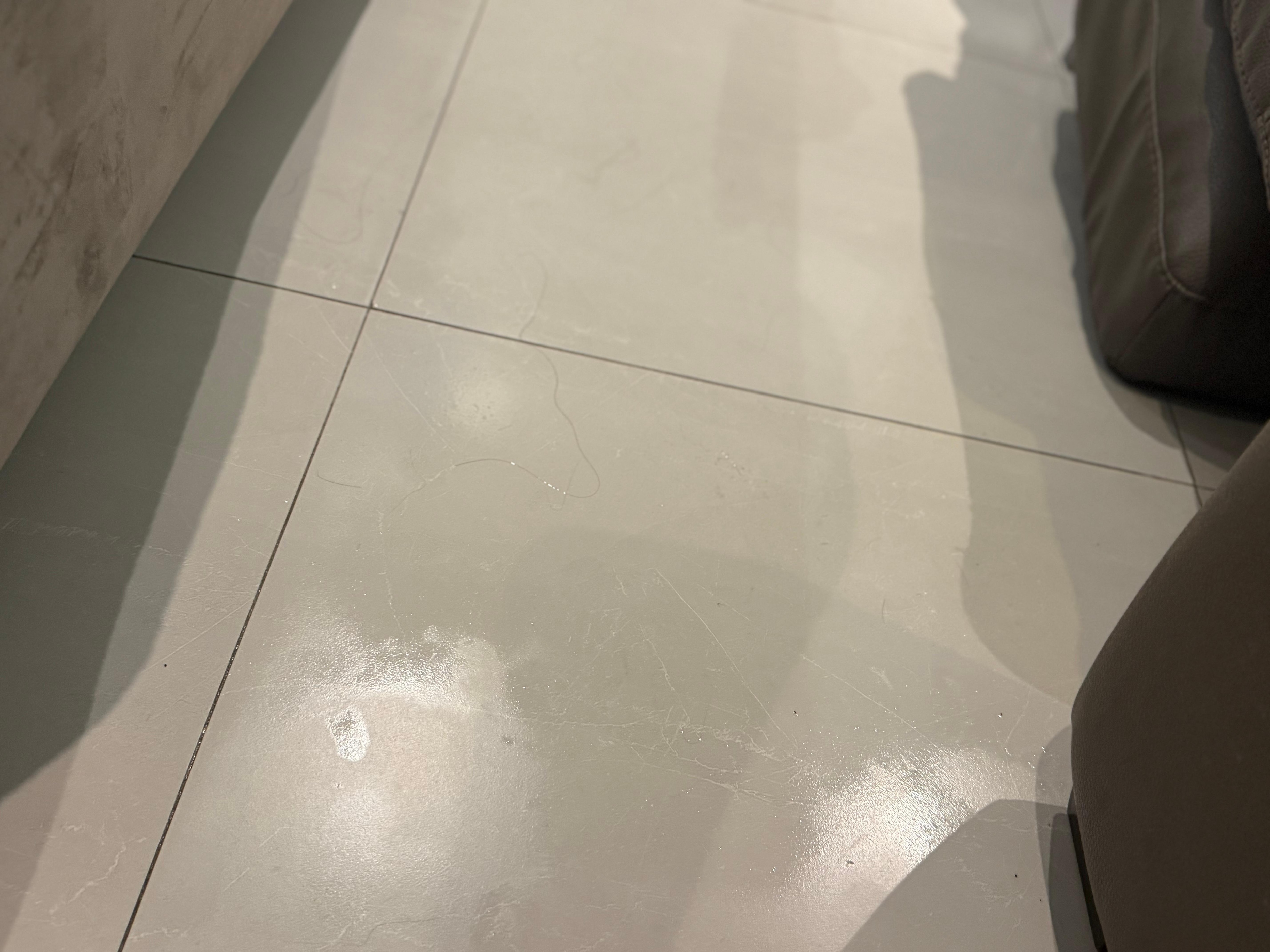 Wet floor 