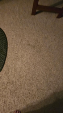 Stains in carpet