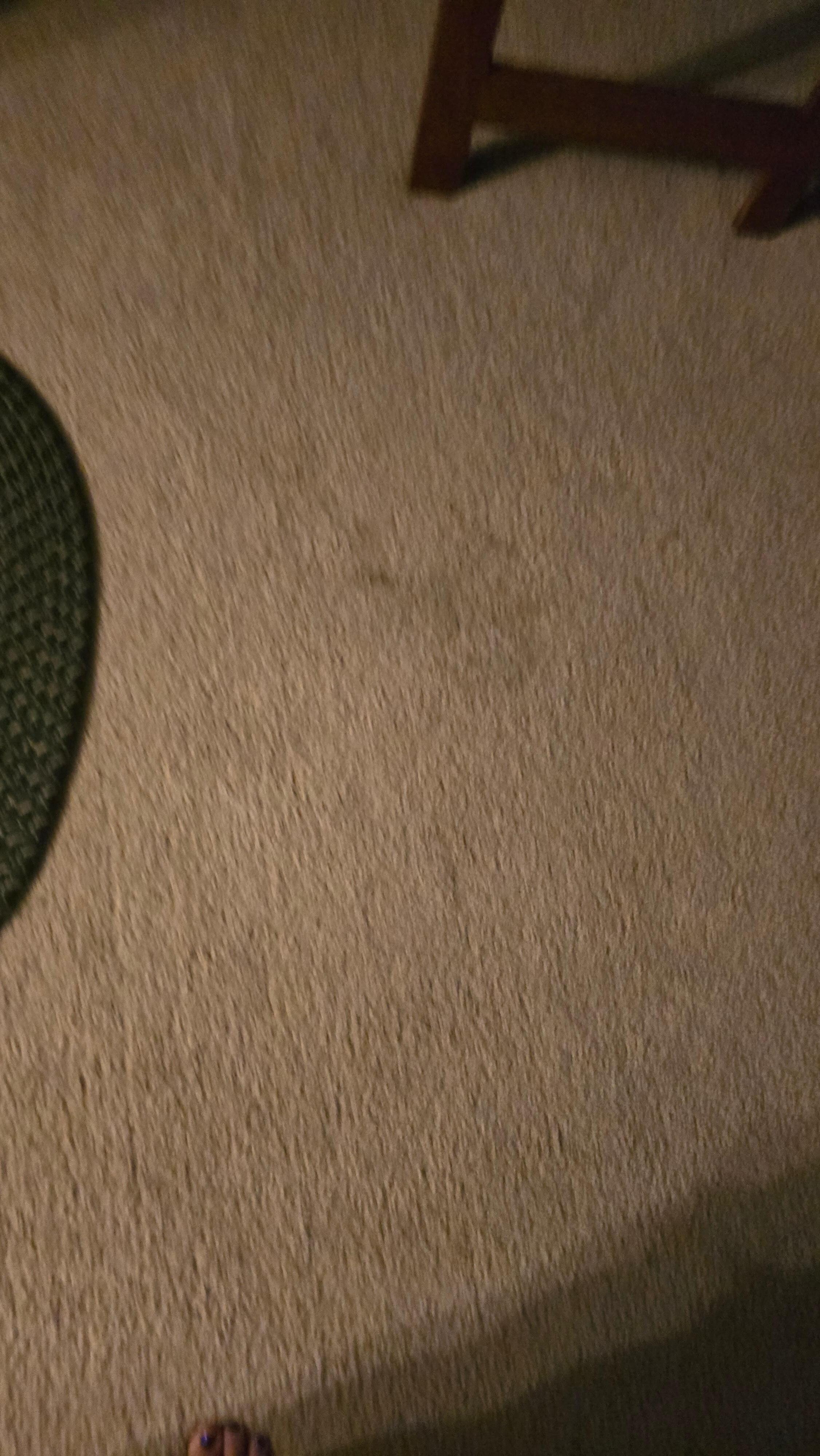 Stains in carpet