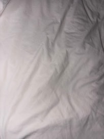 Some of the many black hairs on the bed.