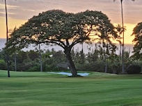A view from the unit outdoor space.
