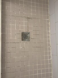 Other bathroom floor needs a deep clean or makeover