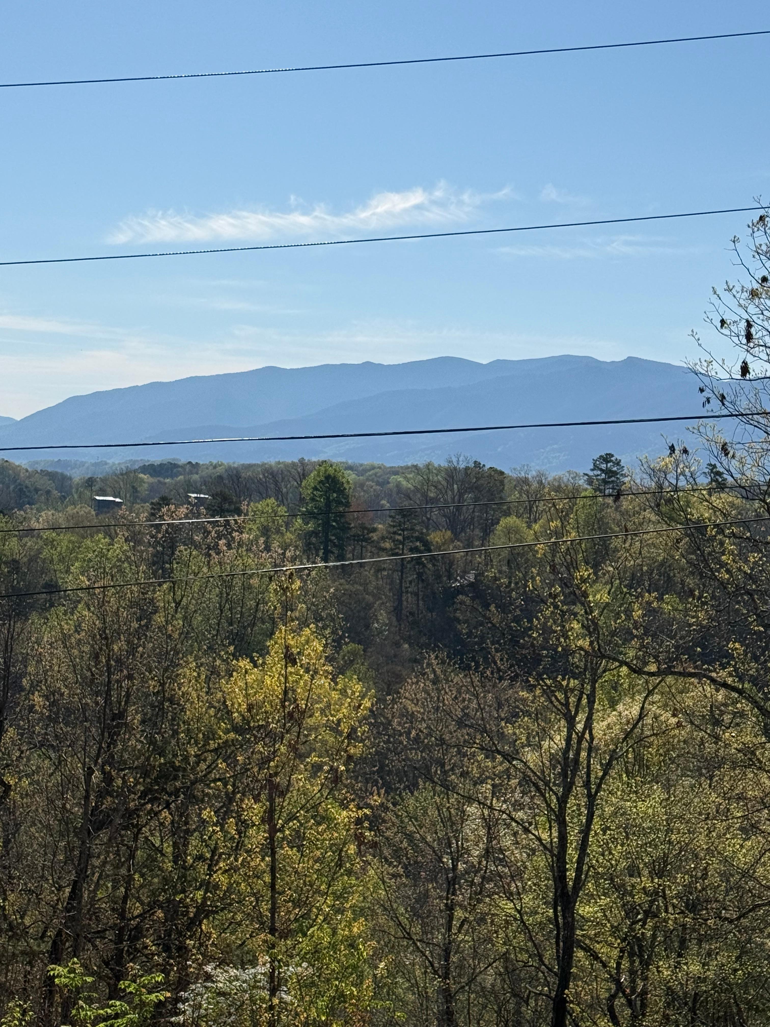  View from deck. Too bad about the power lines. 