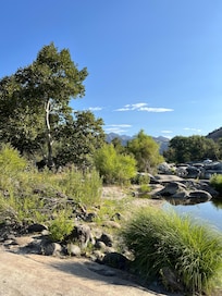 The swimming hole