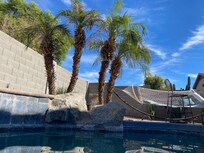 Palm tree side of the pool