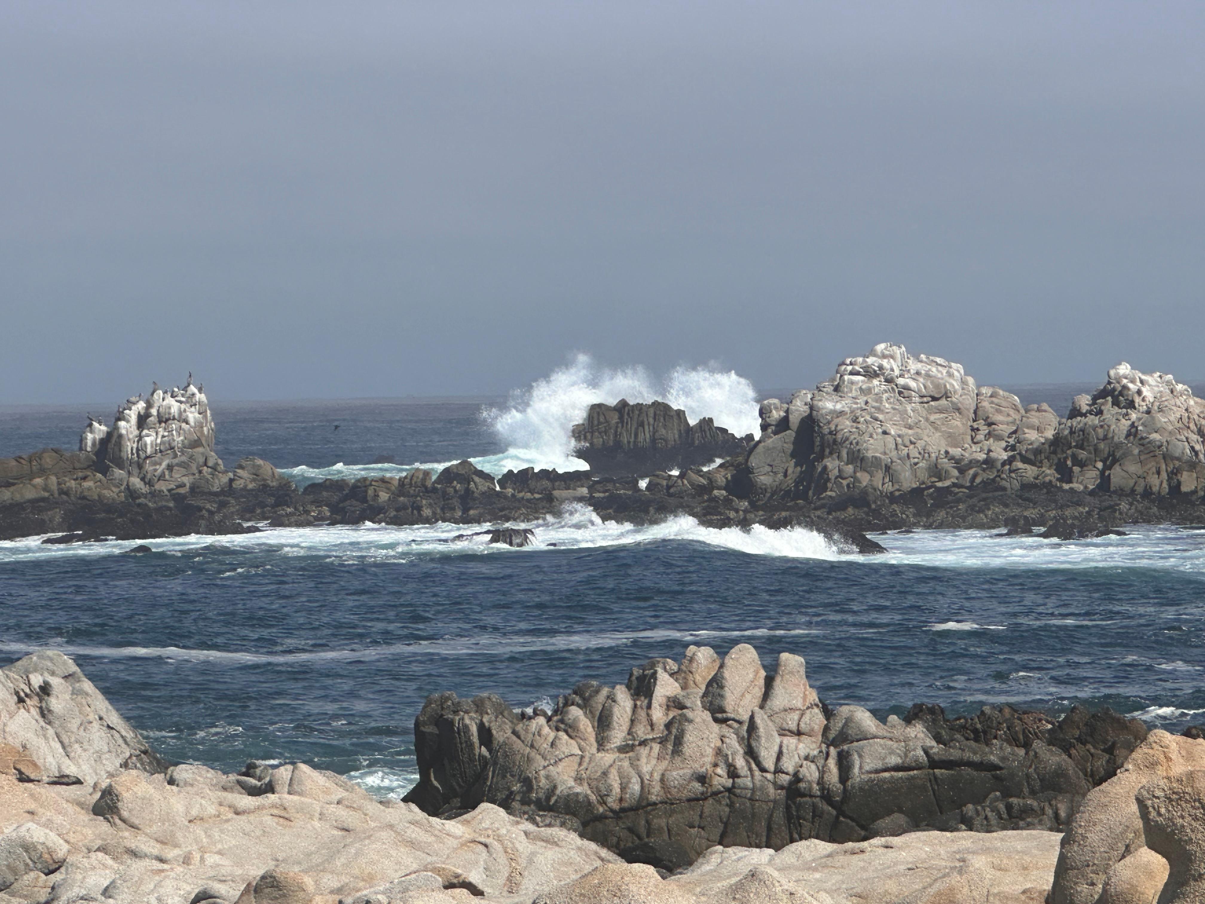 Point Pinos only a couple blocks away. 