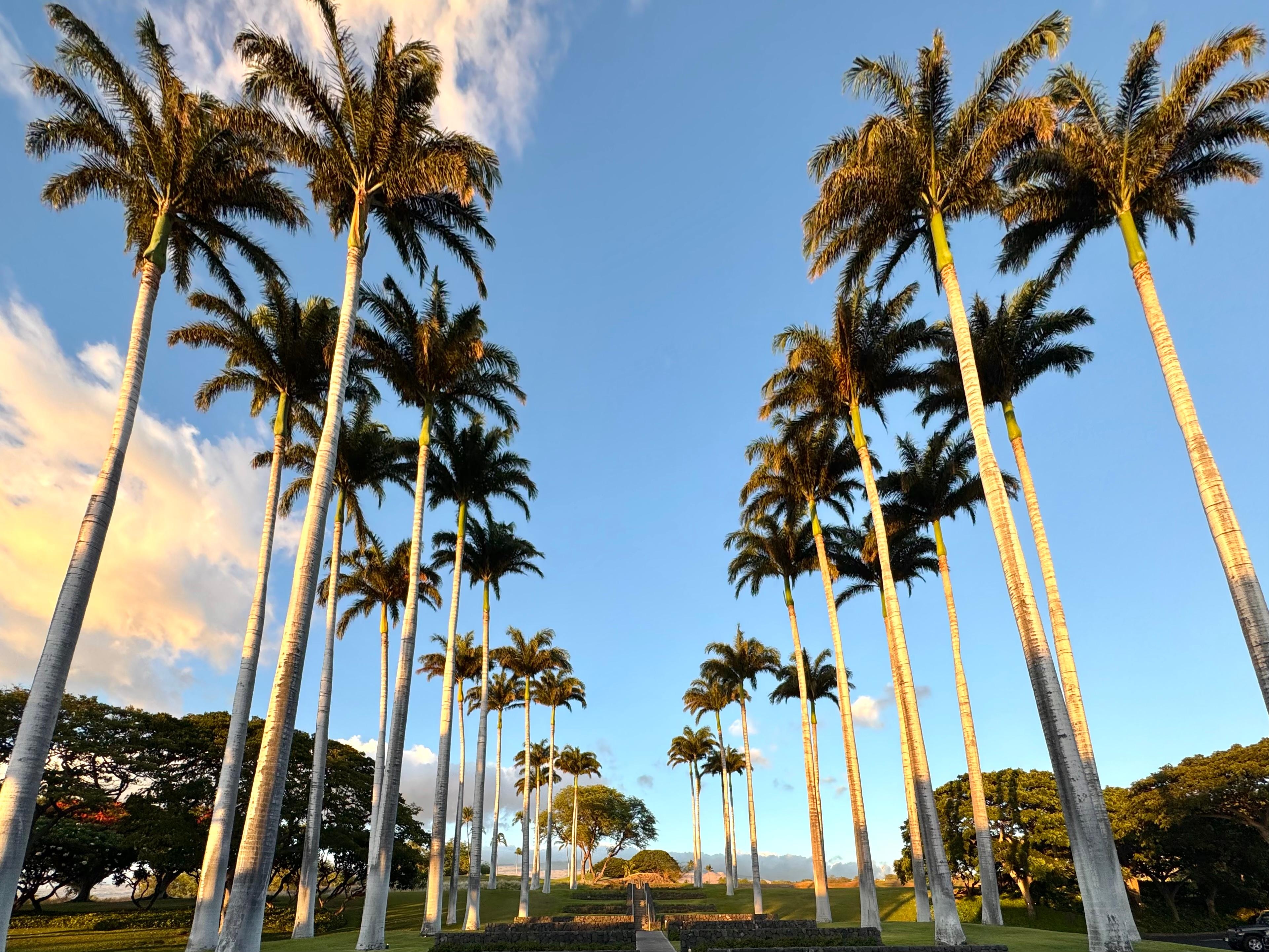 Arrival front of hotel 