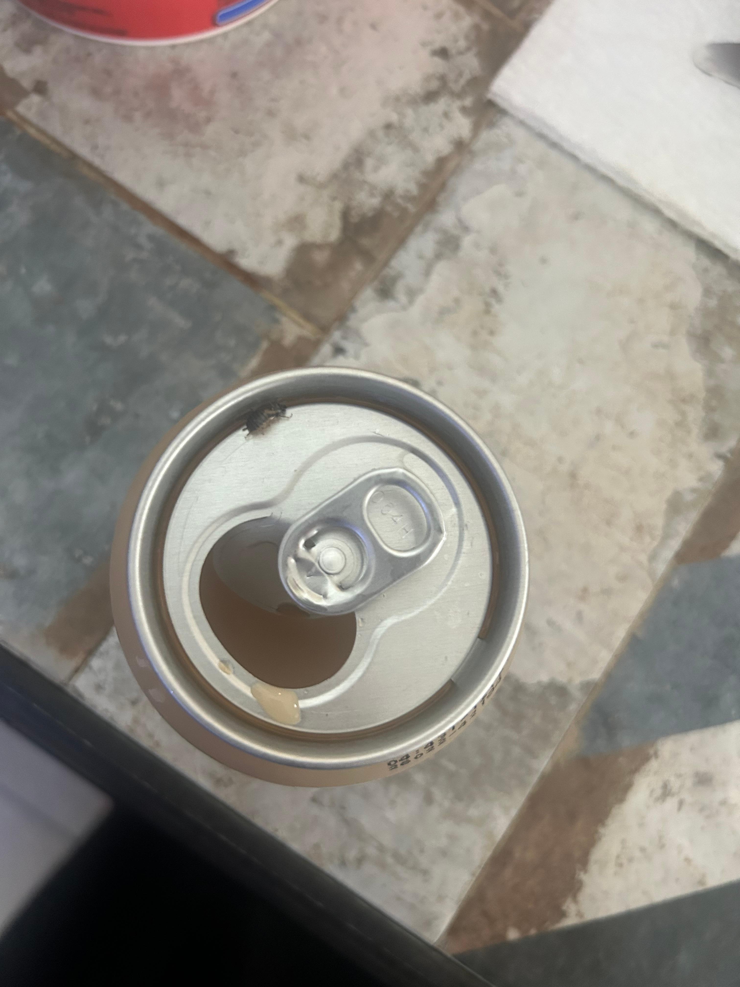 This was a roach on my drink in the fridge.