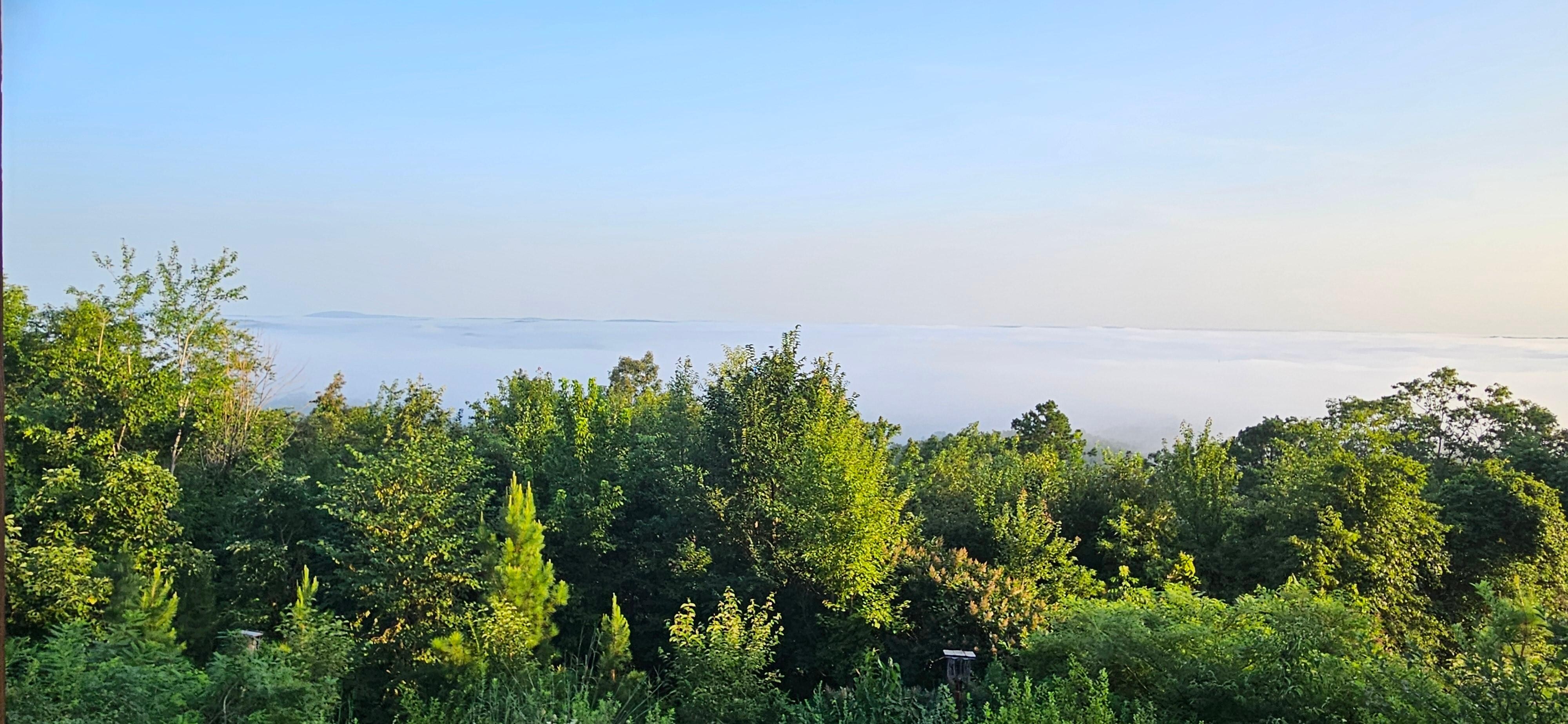 View from patio