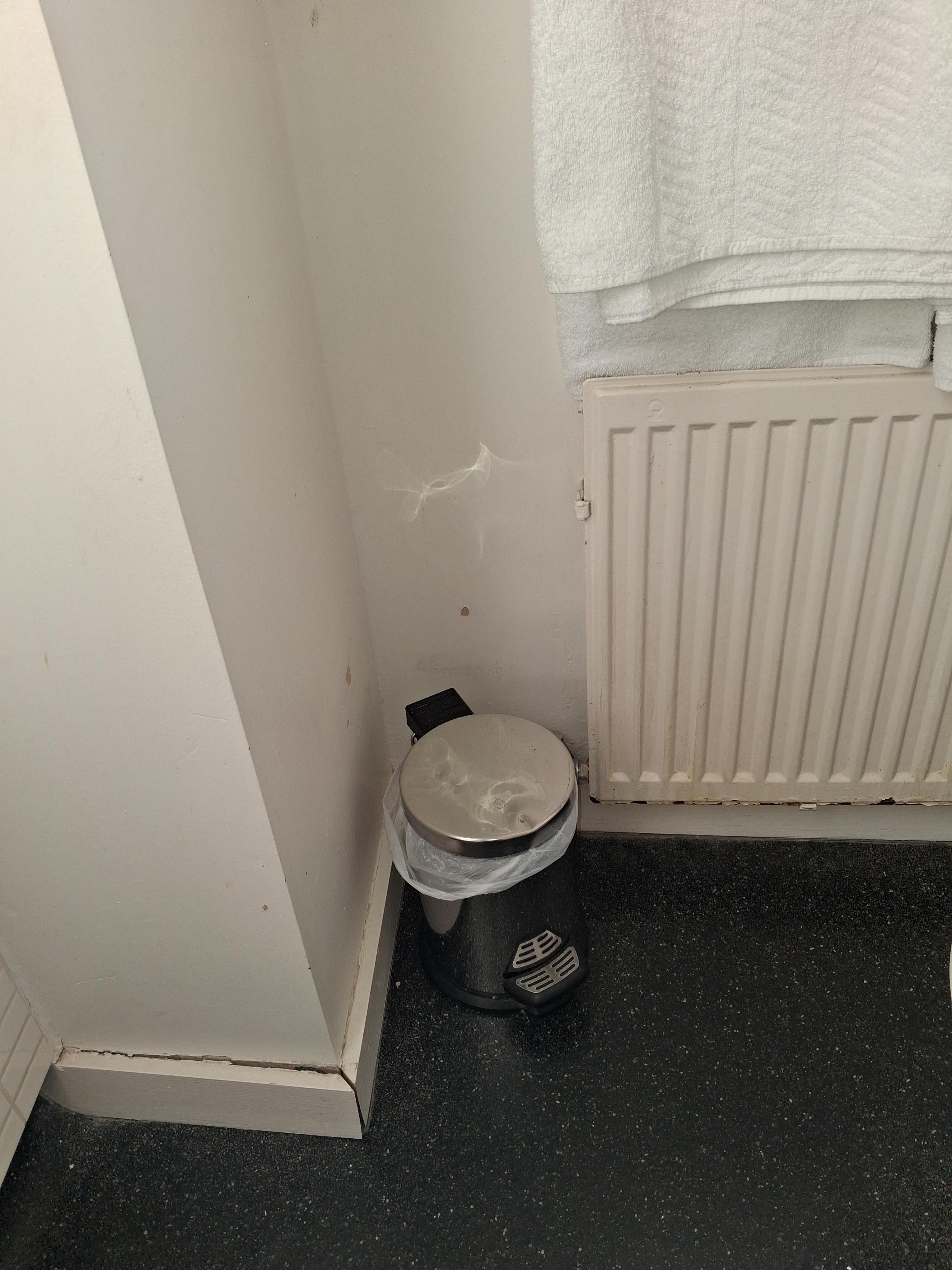 Lose skirting board
